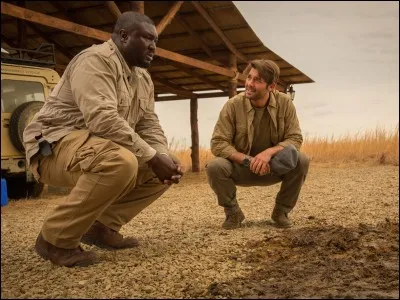 Que se passerait-il si les animaux décidaient de s'entendre et de se débarrasser de nous ?