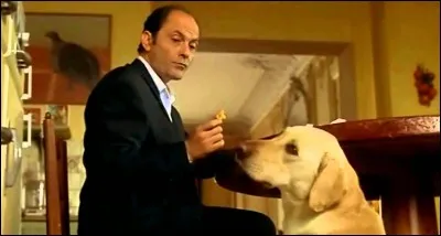 Mais il est con ce chien alors !