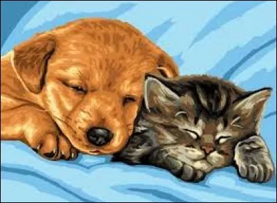 C'est un roman français de Georges Simenon, publié en 1967.