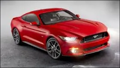 De quelle marque cette Mustang vient-elle ?