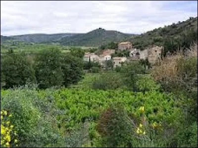 Village viticole au cur des Corbières, dans l'arrondissement de Narbonne, Villeneuve-les-Corbières se situe dans le département ...