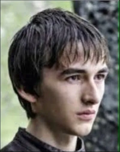 Qui Bran arrive-t-il à contrôler ?