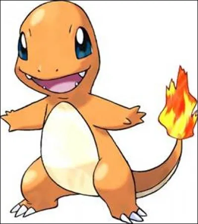 Quel est le nom de ce Pokémon et quel est son type ?