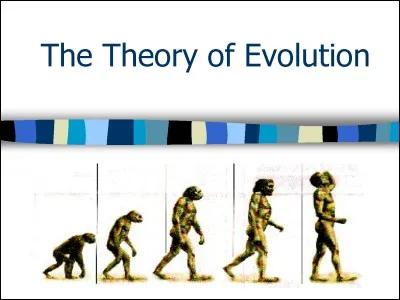 À qui doit-on l'idée d'évolution des espèces par sélection naturelle ?
