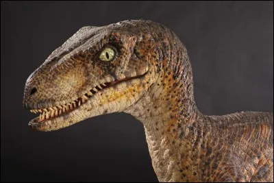 Qui est le symbole dans "Jurassic Park" 3 ?