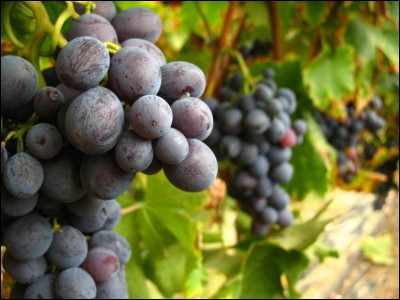 On l'utilise pour autre chose :