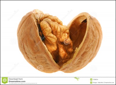 Dans la famille des noisettes...