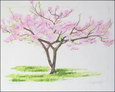 "Bière de pain" en Russie :