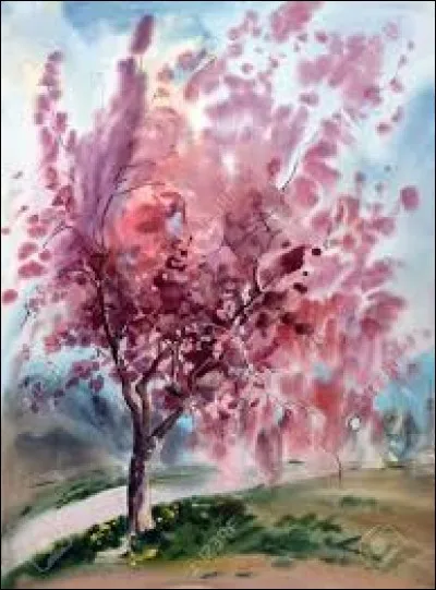 En Belgique, pigeon d'argile utilisé au ball-trap :