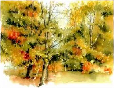 Petit singe d'Amérique du Sud :