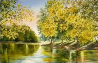 Revolver à chargement automatique :