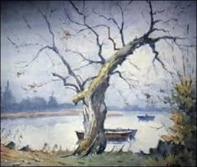 Arrière-pays peu habité, de savane, de forêts, de broussailles, en Australie et en Nouvelle-Zélande :