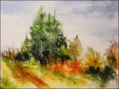 Céréale à épi barbu :