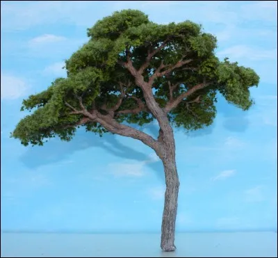 Le mot commence par Or...