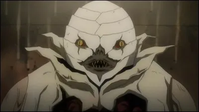 Qui est ce Shinigami ?