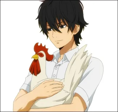 Comment s'appelle le poulet ?