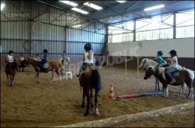 Ils sont dans un (ou une)...