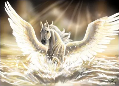 C'est un (ou une)...