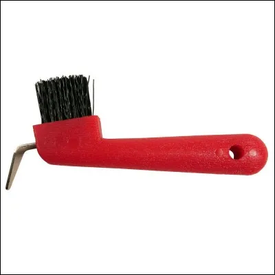 Quelle est cette brosse de pansage ?