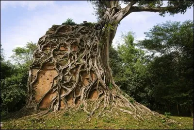 Quel monument ne se trouve pas sur le site d'Angkor ?