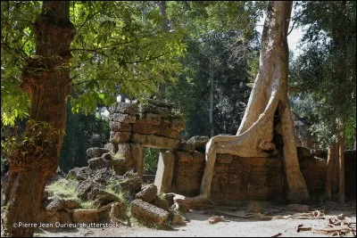 Qui a ordonné la construction du Ta Prohm ?