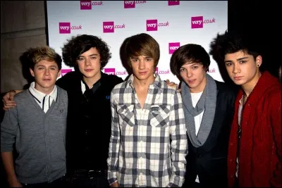 "Quand Niall commence à parler, personne ne peut l'arrêter. Sauf si vous lui donnez de la nourriture."
Qui a dit ça ?