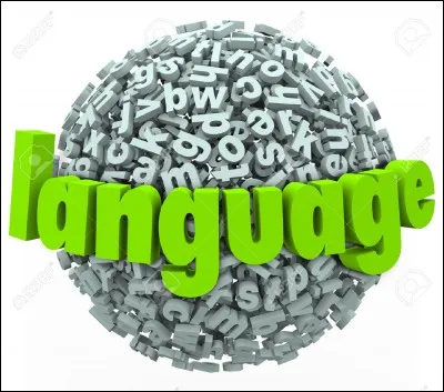 Quelle est la langue des pratiquants de l'islam ?