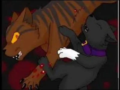 En allant dans la forêt il rencontre une patrouille. De quel clan s'agit-il ?