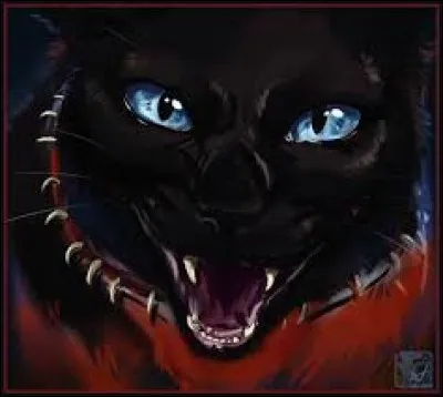 Comment son clan se nomme-t-il ?