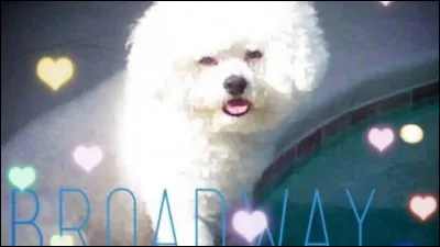 Dans la saison 3, le chien d'Abby est mort : comment s'appelait-il ?