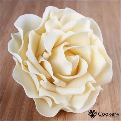 De quoi est composé le chocolat blanc ?