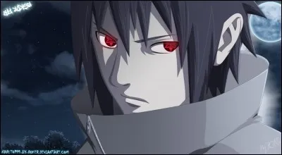 Quel but a Sasuke dans "Naruto Shippuden" ?