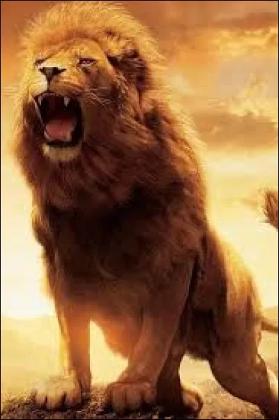 Quel surnom donne-t-on au lion ?