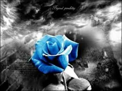 Qui a écrit "Les Fleurs du mal" ?