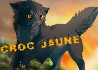 Pourquoi Croc Jaune fut-elle bannie du Clan de l'Ombre ?