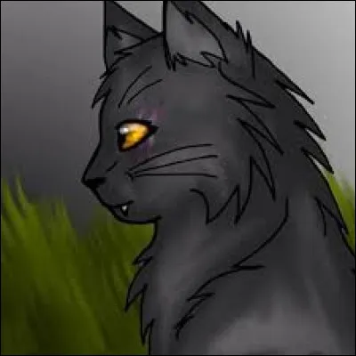 Quel fut le nom de Petit Croc quand elle est devenue une apprentie ?