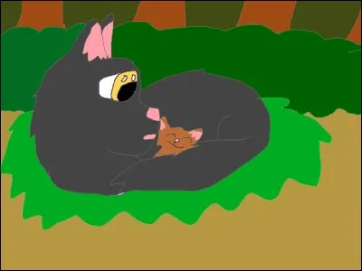 Quel fut le nom de son chaton ?