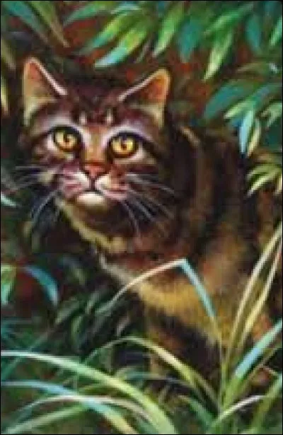 Quel fut le nom de guerrier de son chaton ?