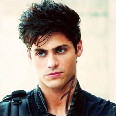 Qui joue Alec Lightwood ?