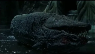 Avec quoi Harry a-t-il tué le Basilic ?