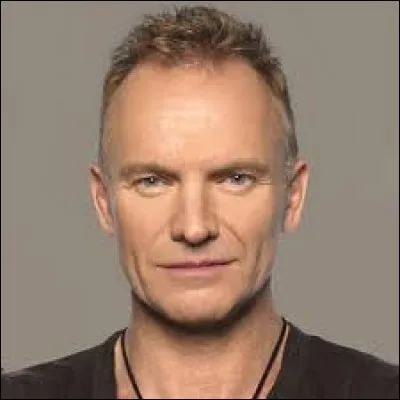 Au sein de quel groupe de rock britannique le chanteur Sting a-t-il débuté sa carrière ?