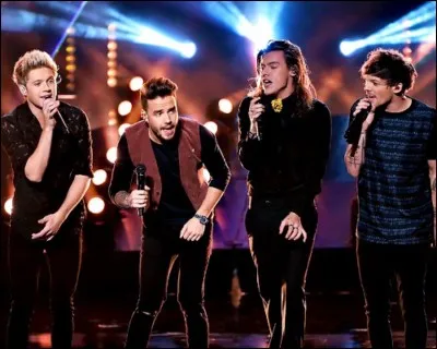 Qui est le leader des One Direction ?