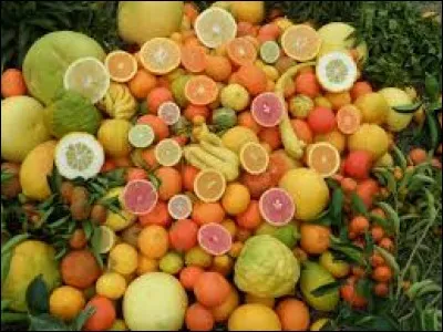 "A" comme "agrumes". En quelle vitamine ces fruits sont-ils fortement riches ?