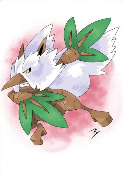 De quels types est ce Pokémon ?