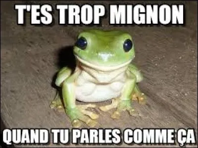 Au début du XVIe siècle, à qui le nom "mignon" était-il réservé ?