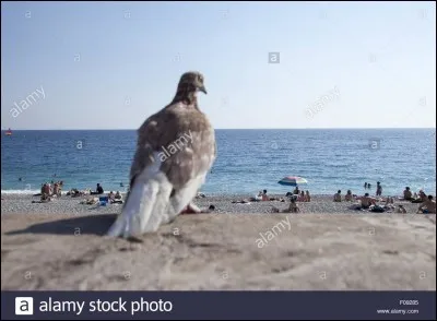 Quelle est la langue d'origine du jeu ?