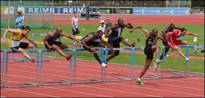 Une haie, qu'est-ce que c'est ?