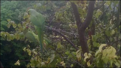 Le 14 mai 1941, les Juifs étrangers sont convoqués par la police française afin de procéder à leur arrestation, cette convocation (honteuse) porte un nom !