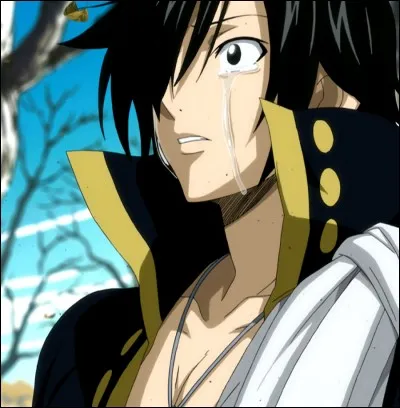 Pendant l'Arc Fairy Tail Zéro, Mavis et ses compagnons rencontrèrent par hasard le mage Zeleph, mais combien de temps avant la formation de la guilde ?
