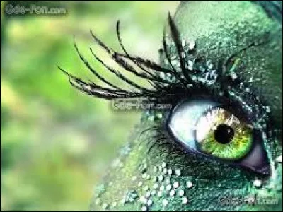 Tu as des paillettes sur le visage.